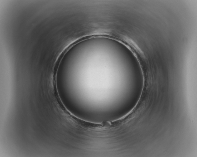 X0000113071268200908281147