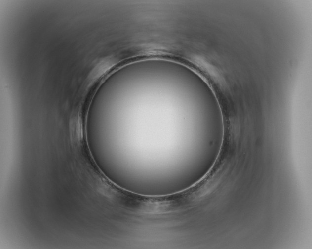 X0000113071269200908281147