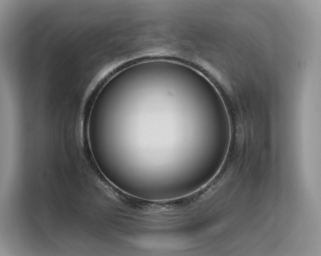 X0000113071270200908281147