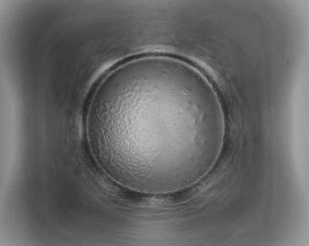 X0000113071271200908281147