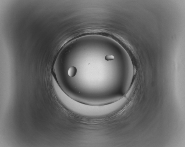 X0000113071273200908281147