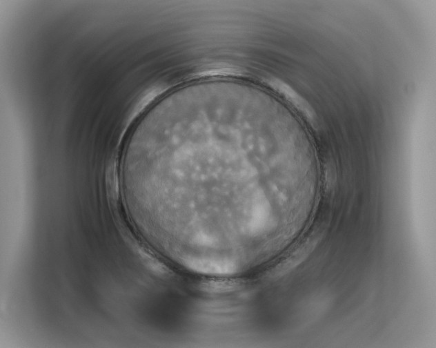 X0000113071274200908281147