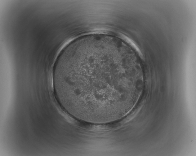 X0000113071275200908281147