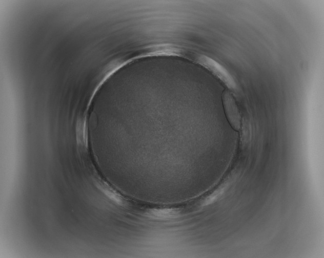 X0000113071276200908281147