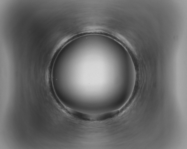 X0000113071277200908281147