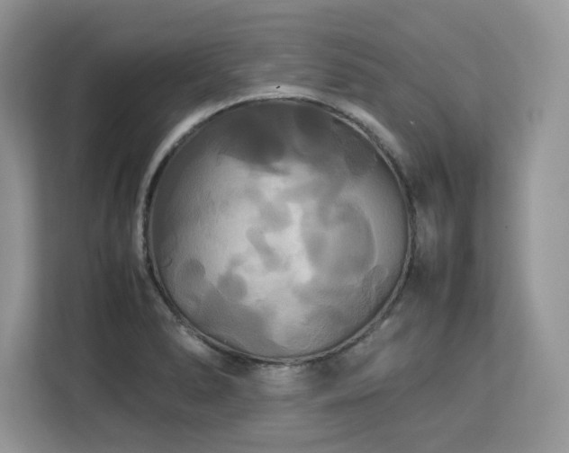 X0000113071278200908281147