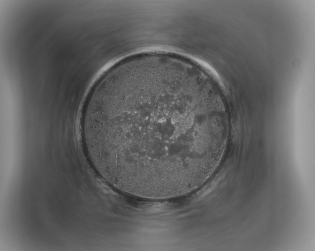 X0000113071279200908281147