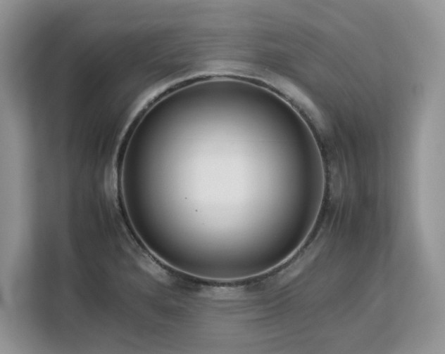 X0000113071280200908281147