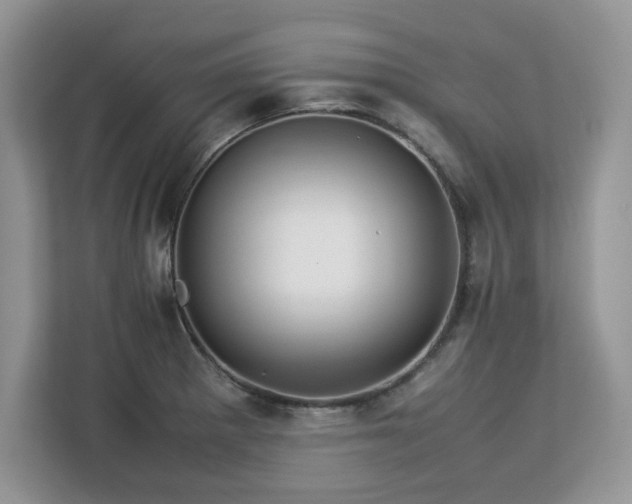 X0000113071281200908281147