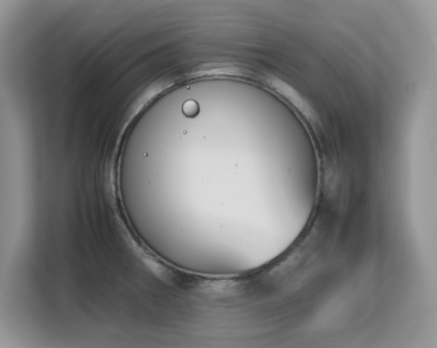 X0000113071282200908281147
