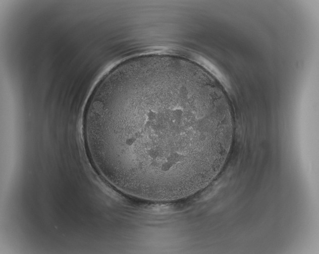 X0000113071283200908281147