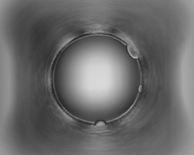 X0000113071285200908281147
