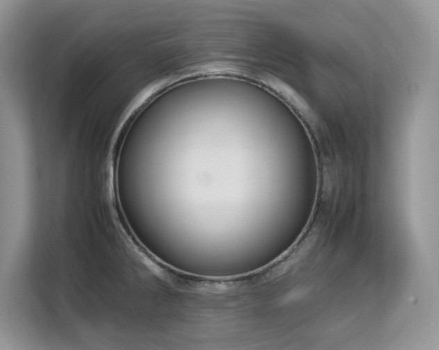 X0000113071286200908281147