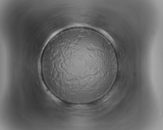 X0000113071287200908281147