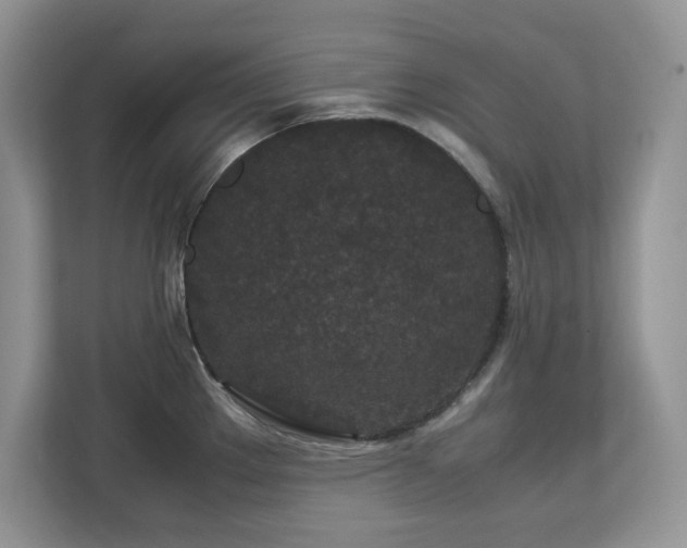 X0000113071289200908281147