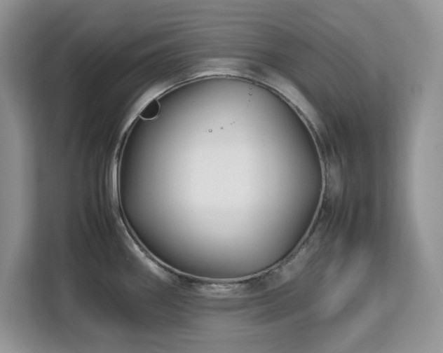 X0000113071290200908281147