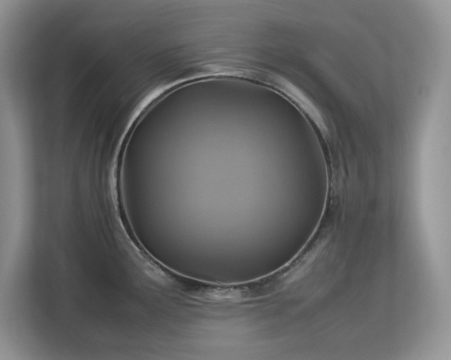 X0000113071291200908281147