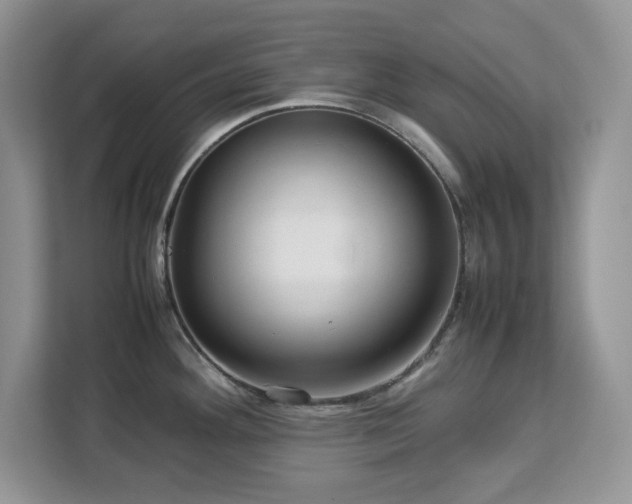 X0000113071292200908281147