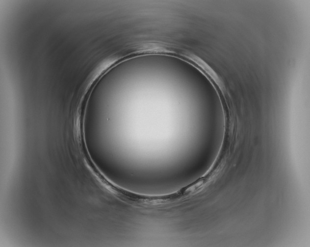 X0000113071293200908281147