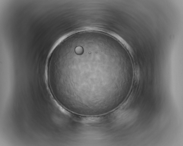 X0000113071294200908281147