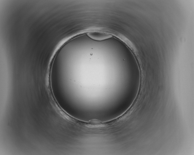 X0000113071296200908281147