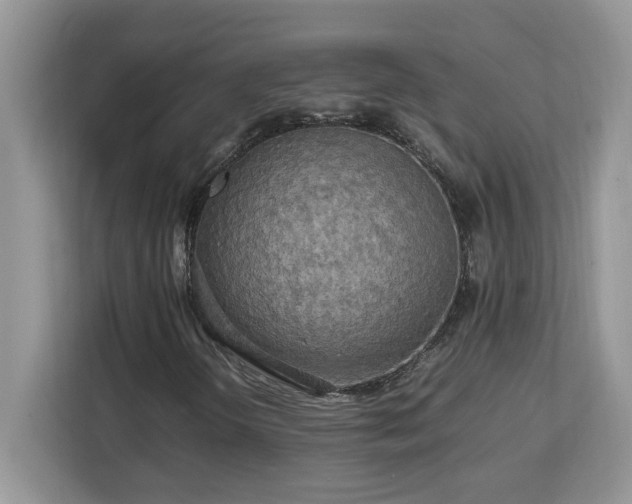 X0000113071298200908281146