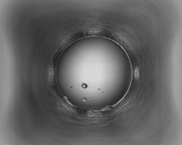 X0000113071299200908281146