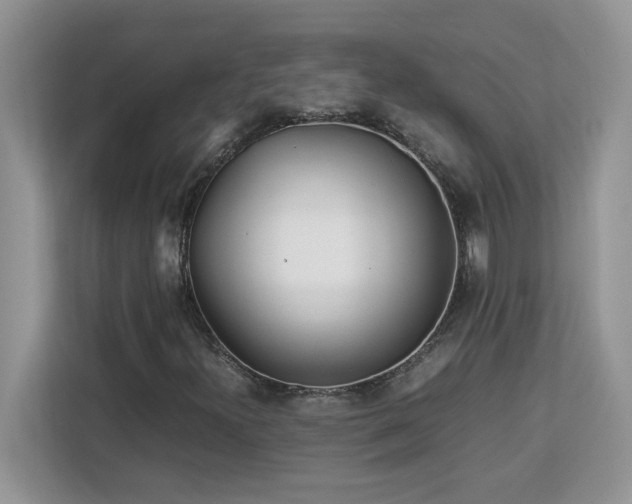 X0000113071300200908281146