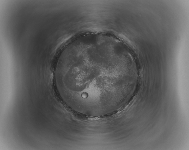 X0000113071302200908281146