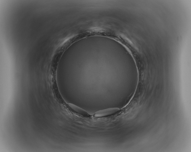 X0000113071303200908281146