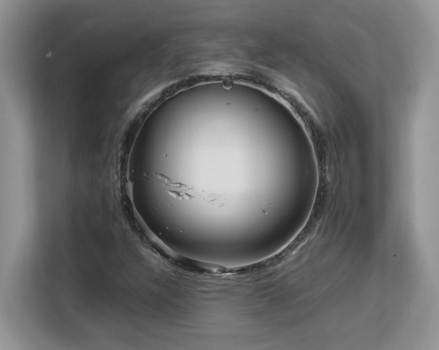X0000113071304200908281146