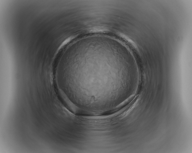 X0000113071306200908281146