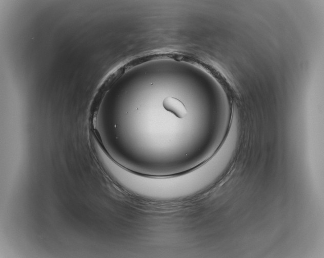 X0000113071308200908281146
