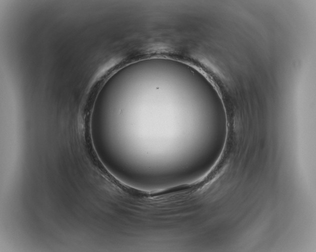 X0000113071309200908281146