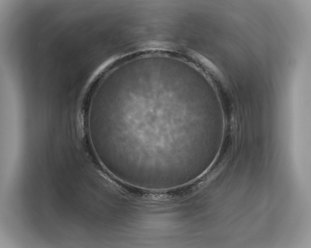 X0000113071310200908281146