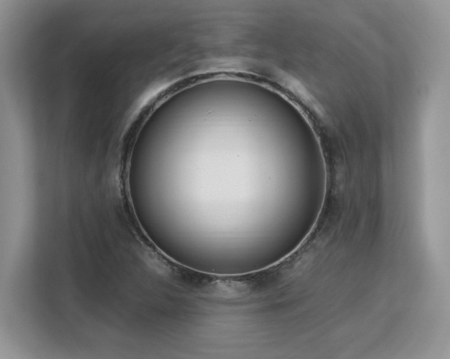 X0000113071312200908281146