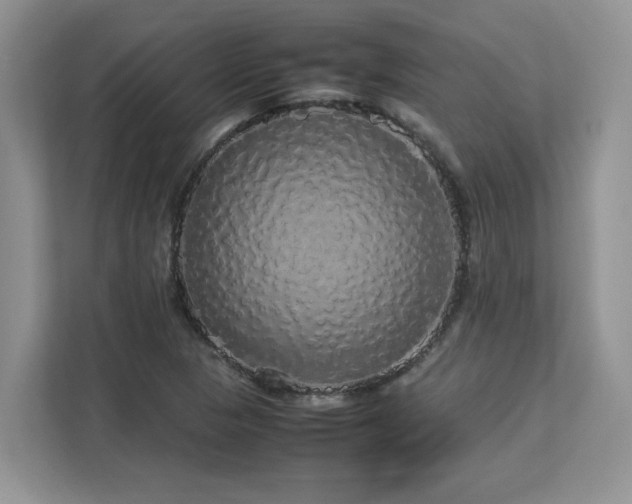 X0000113071313200908281146