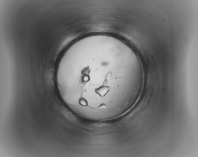 X0000113071314200908281146