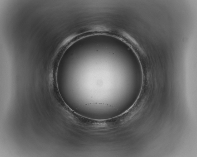 X0000113071315200908281146