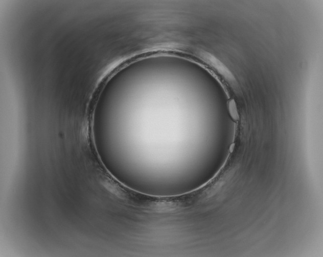 X0000113071316200908281146
