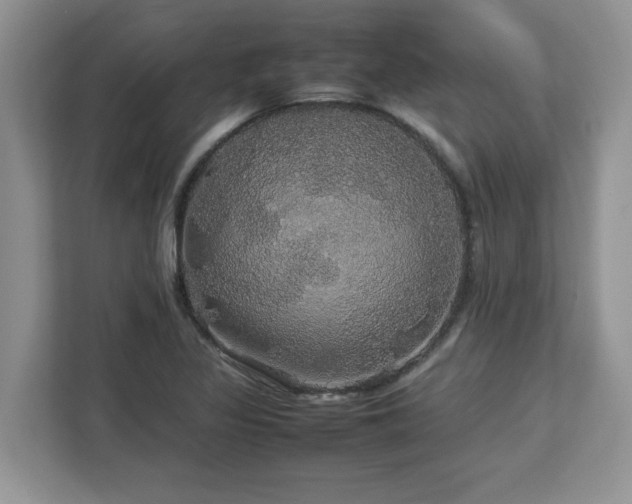 X0000113071317200908281146