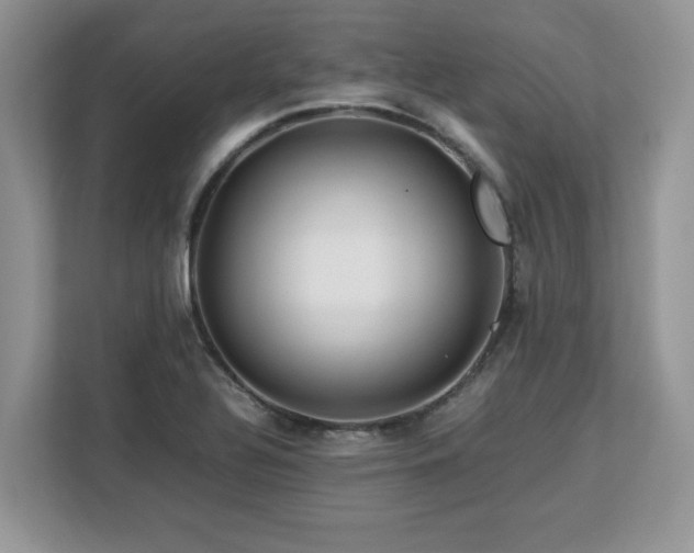 X0000113071320200908281146