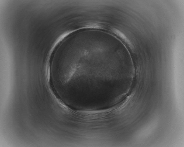 X0000113071323200908281146