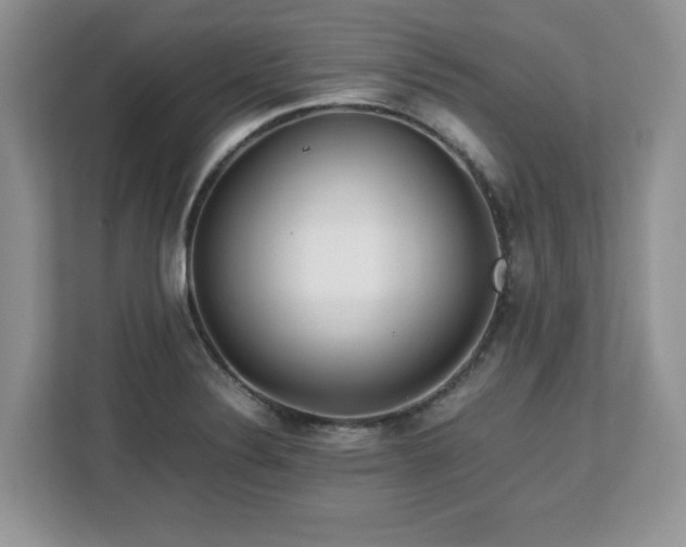 X0000113071324200908281146