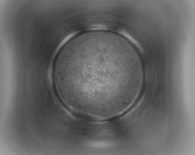 X0000113071325200908281146