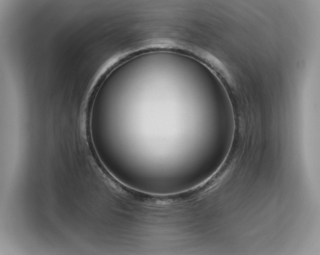 X0000113071326200908281146