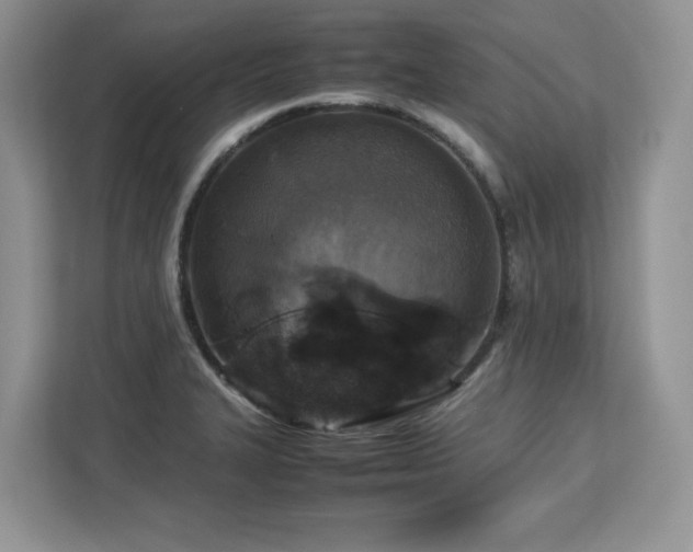X0000113071327200908281146