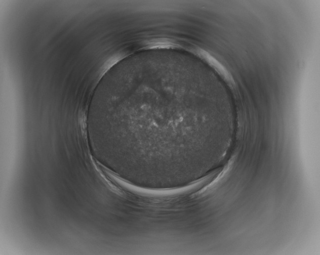 X0000113071329200908281146