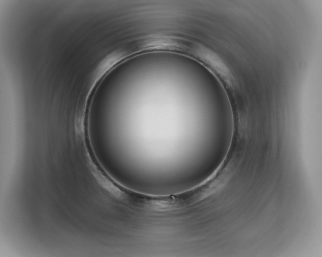 X0000113071330200908281146