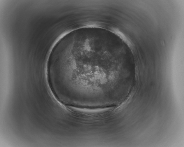 X0000113071331200908281146
